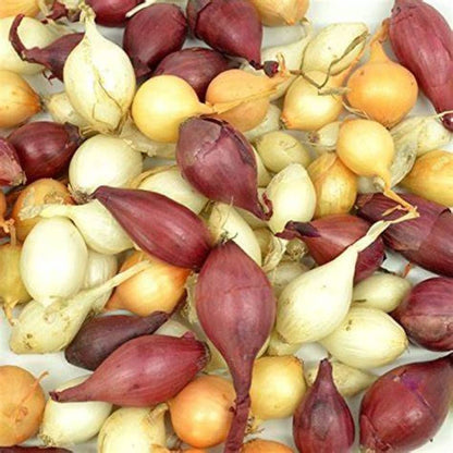 Bulb Sets, Sets, 100 Count, sets, bulb sets Onion Mixed Onion This is a random mix of White,Yellow and Red Onion Onion