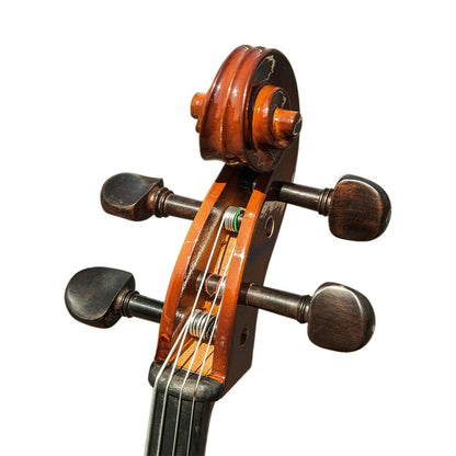 Paititi PTTCE201T Ebony Fitted Oil Finish Solid Wood Cello with Soft Case, Bow, Rosin, Stopper and Mute