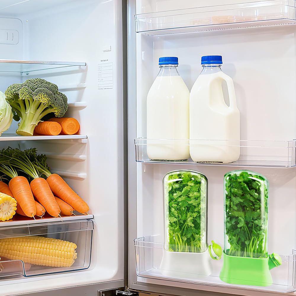 orimetre Herb Keeper for Refrigerator – Lettuce & Cilantro Container, Fresh Vegetable Saver Pod, Storage Bottle & Fresh-Keeping Box for Spinach, Asparagus, Celery, Mint (White)
