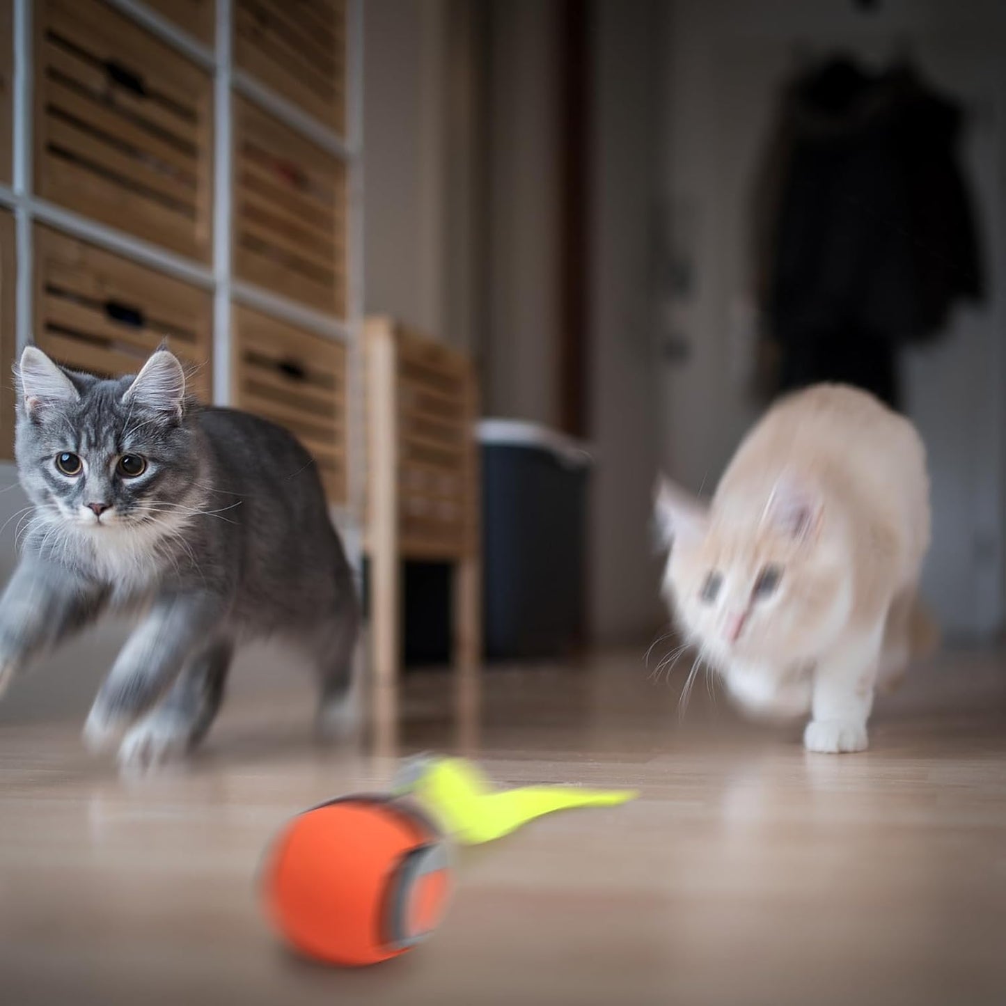 FXBUAF Speedy Tail 2.0, Automatic Moving Cat Toy Ball with Tail, Smart Interactive Cat Toy Ball, Two Speed Adjustment(Orange + Blue)