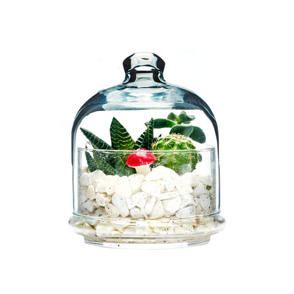 the mask el turko Multipurpose Glass Storage Jar with Lid, Avocado, Lemon, Onion, Tomato Keeper/Saver/Holder, Home & Kitchen Organizer (1 Pcs with Glass Lid)