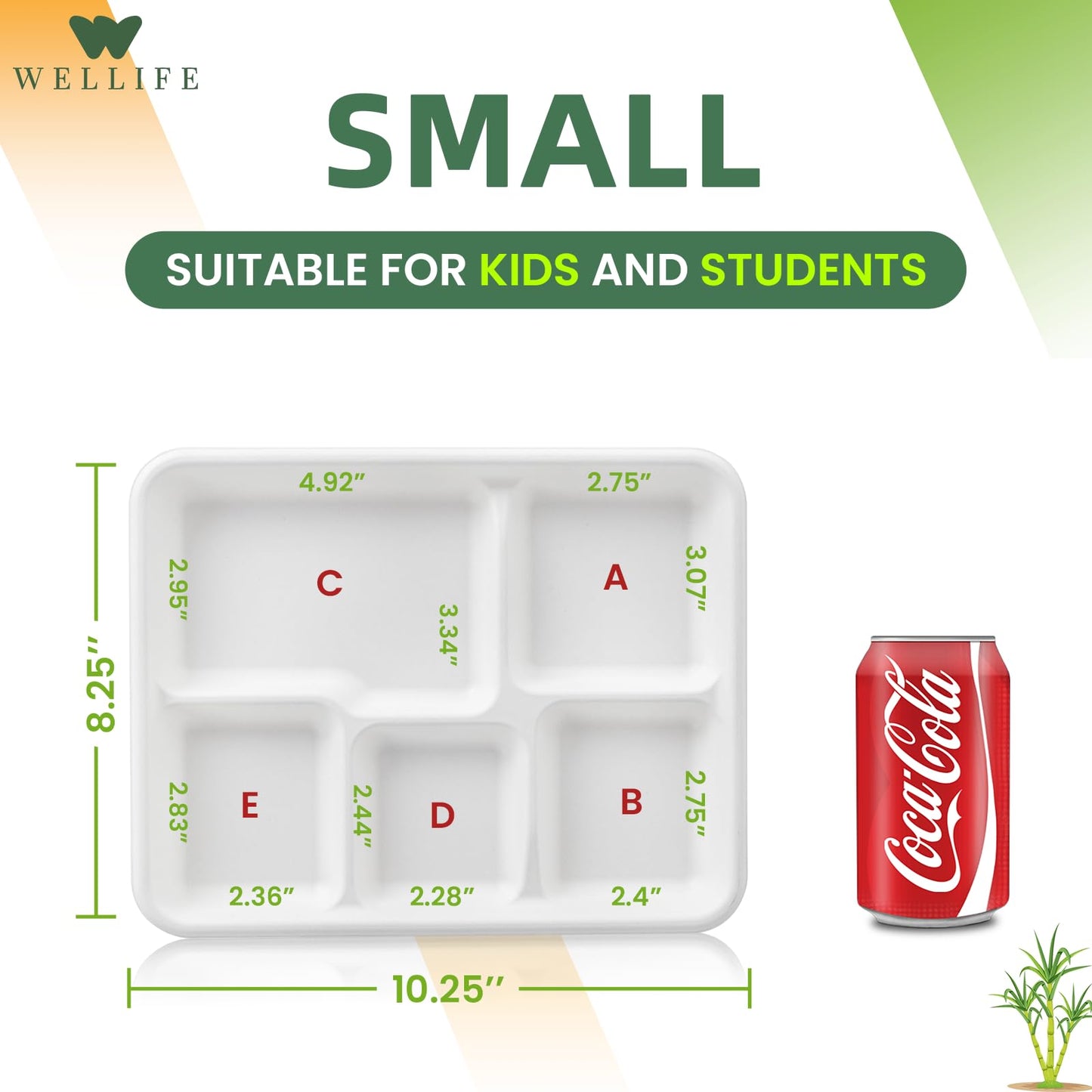 WELLIFE 125 Pack Kids Small 5-Compartment Paper Plates, 10.25x8.25 Inch 100% Compostable Divided Plates, Disposable School Lunch Trays, Eco-Friendly Bagasse Plate for Boys Girls and Youth (BPA Free)