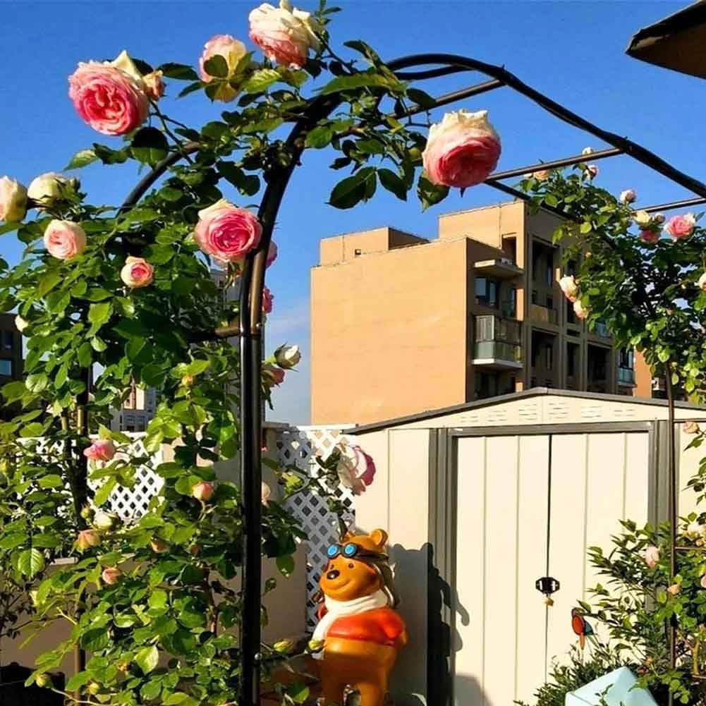 Large Steel Rose Arch Trellis Archway for Climbing Plants Decorative Garden Metal Arches Outdoor Wedding Decoration 180cm x 220cm / 300cm x 220cm (White W3meters*H2.2M)