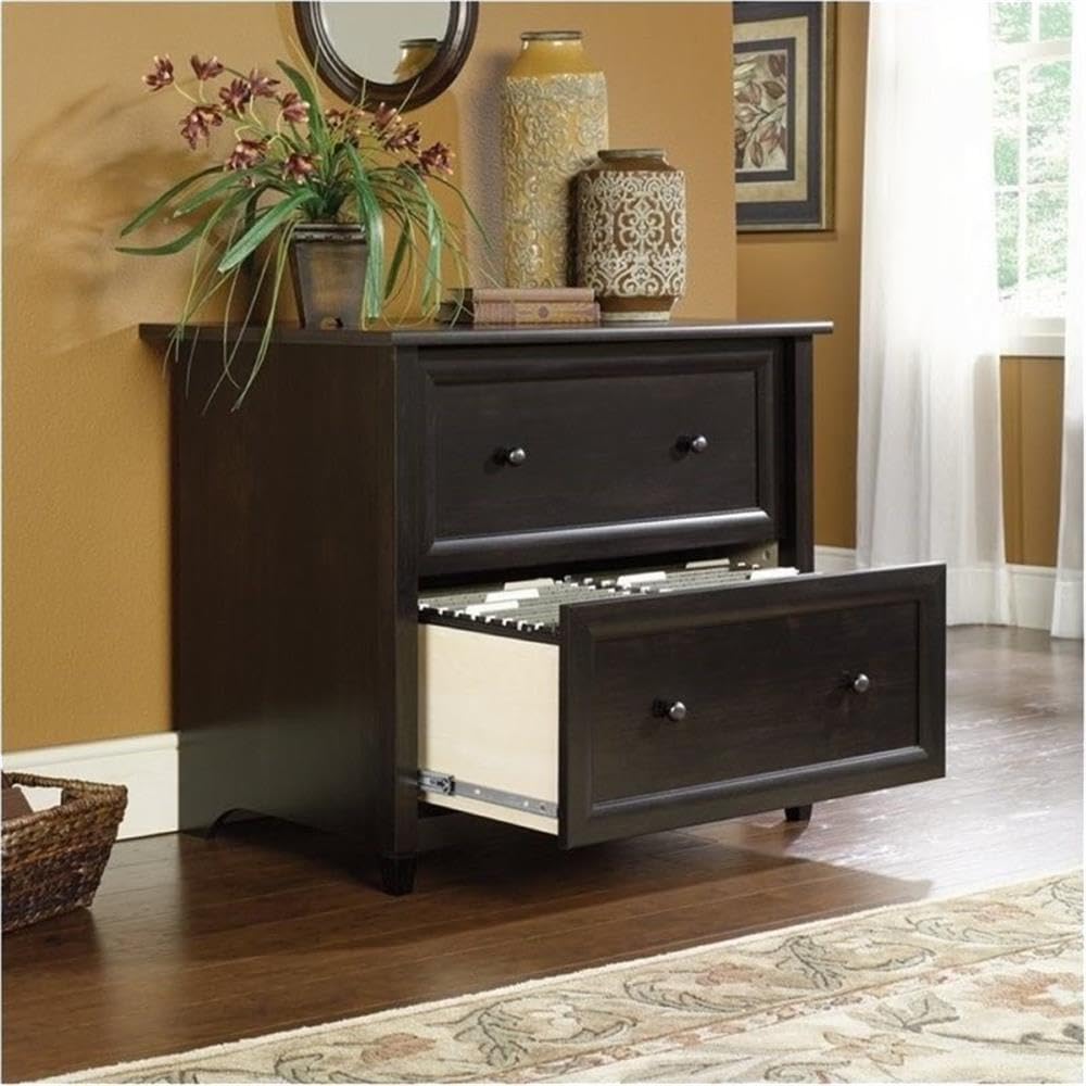 BOWERY HILL 2 Drawers 29.37" Lateral Black Engineered Wood Filing Cabinet Easy Assembly Stationary Legal/Letter Size for Home, Office