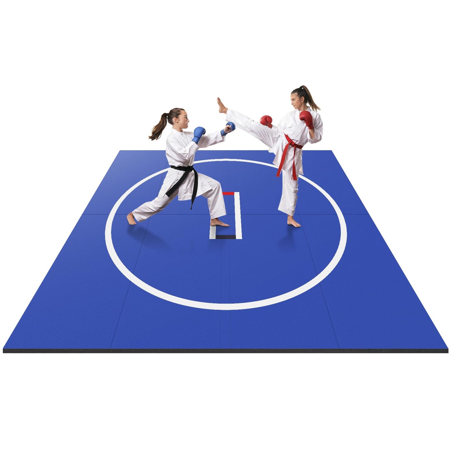 Generic X Gymnastics Training Mat Wear Resist Roll Out Wrestling Mat Anti-Slip Multi-Functional Training Blankets for Grappling Martial Art Boxing Judo