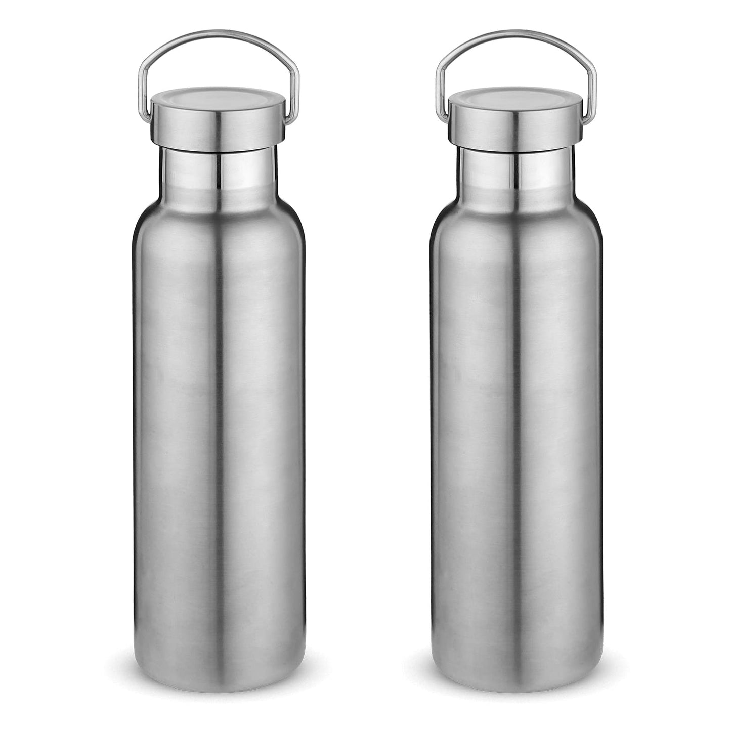 Neihepal 20 oz Insulated Water Bottles Bulk 2 Pack,Stainless Steel Double Wall Sport Bottle with Lid of Handle,Metal Reusable Thermoses Flask with Cup Cap for School,Cyclists,Gift (Silver,Set of 2)