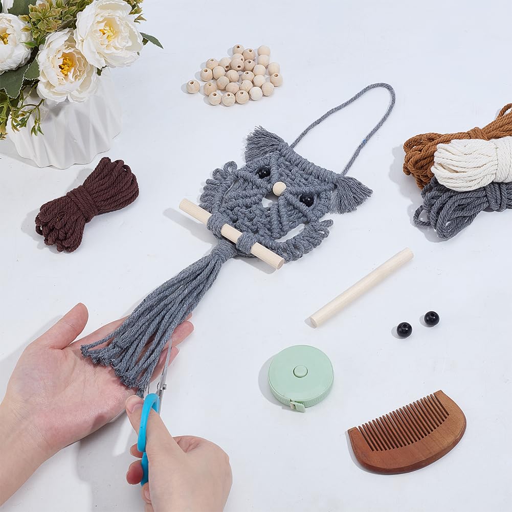 ACRNIGHEET 6PCS Macrame Owl Kit, Boho Owl Macrame Wall Hanging Supplies Decor, Macrame Kit for Adults Beginners, DIY Macrame Kits Includes Instruction with Video Home Decor Craft Kits for Adults