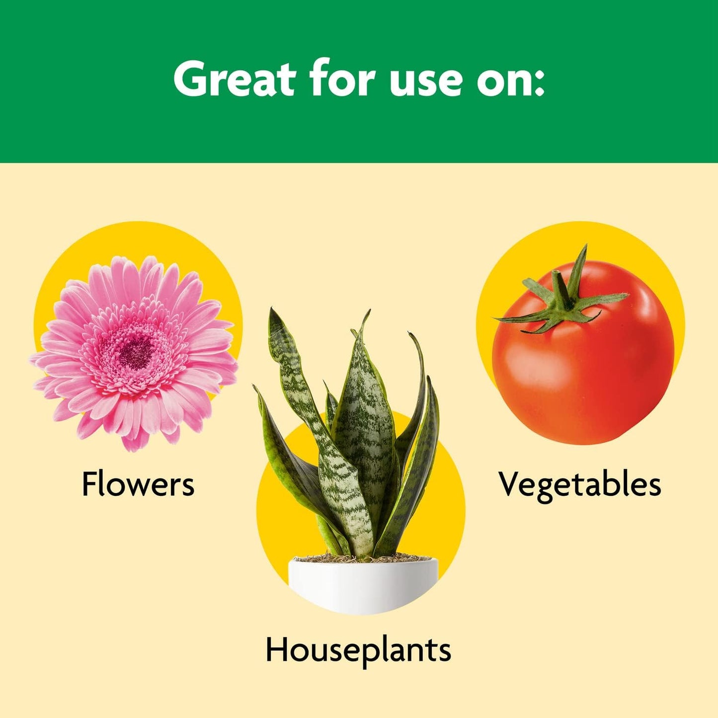 Miracle-Gro Shake 'N Feed All Purpose Plant Food - Feeds Indoor & Outdoor Plants for 3 Months | 4.5 lbs (Pack of 6)