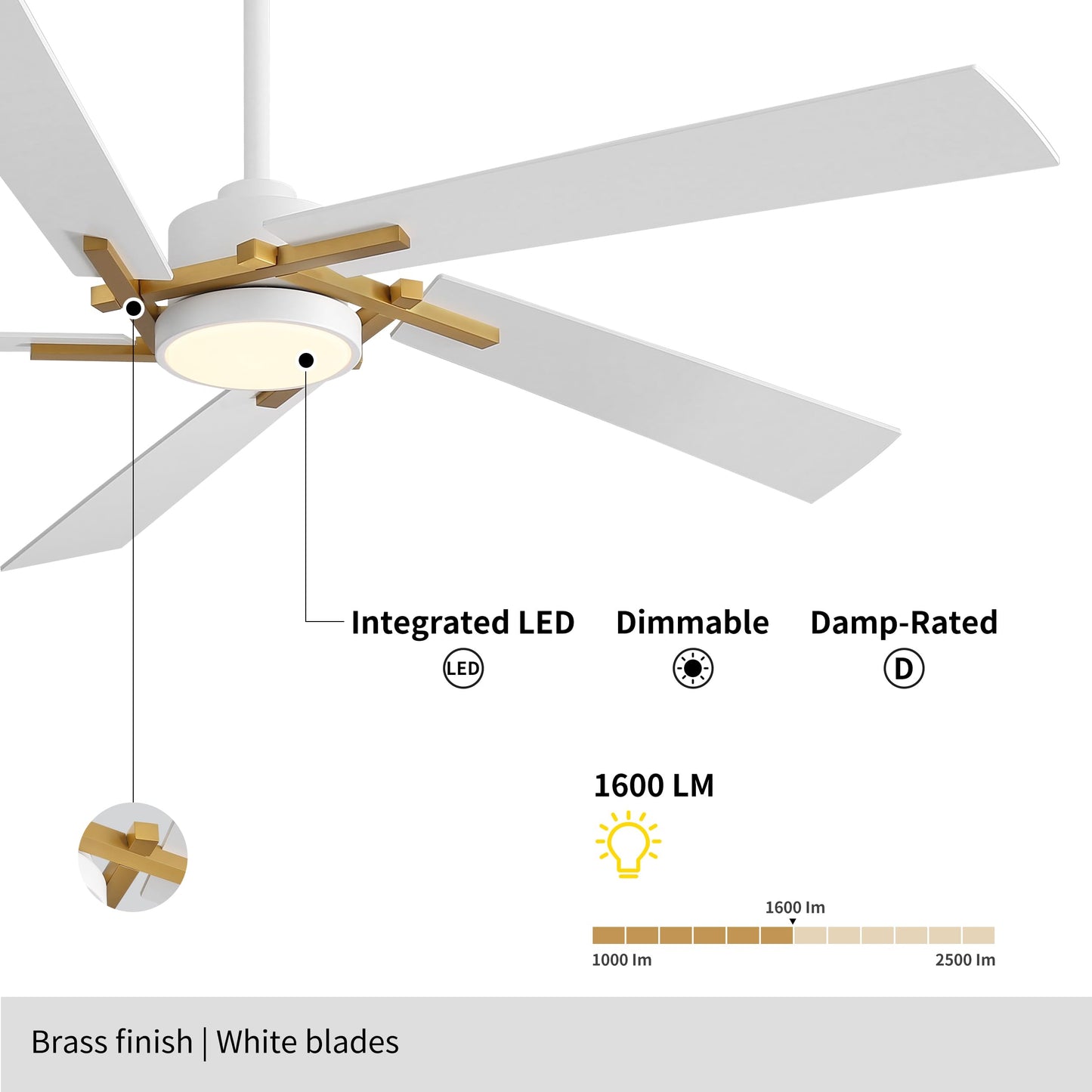 WINGBO 64 Inch Ceiling Fan with Light and Remote, 5 Plywood Blades, 6-Speed Reversible DC Motor, Dimmable, 3CCT, Modern Ceiling Fan for Bedroom Living Room Kitchen, Gold and White
