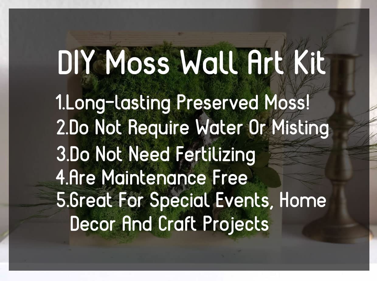 Prefleur Preserved Reindeer Moss Natural Green DIY Kit Terrariums Gardenning Art Wall Decor Florist Decor Easter Table Decor Wedding Decor (0.85lb) (Green-04)