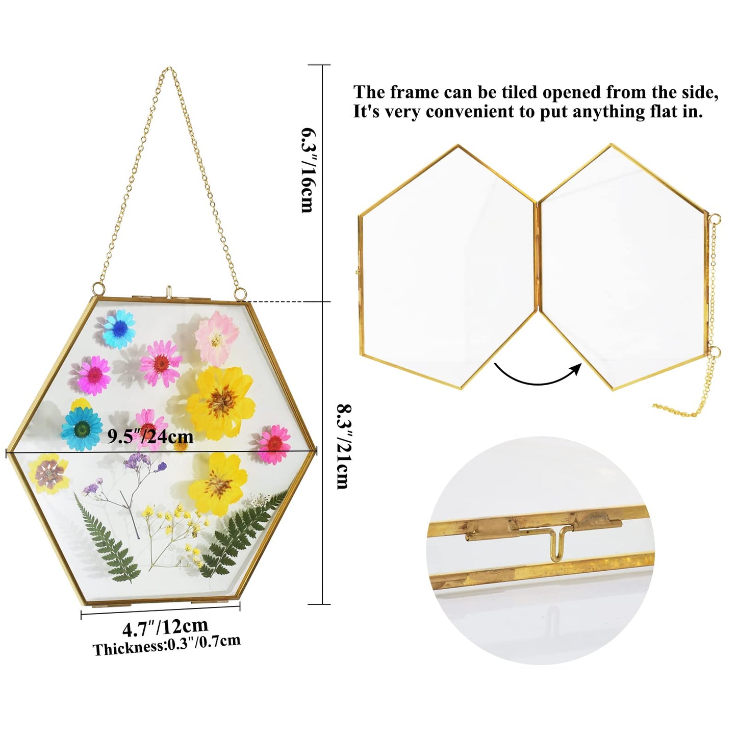 TLBTEK Brass Hanging Photo Frame,9.5 Inch Hexagon Glass Frame for Pressed Flowers,Clear DIY Vintage Artwork Display Frame Wall Mounted Photos Frame