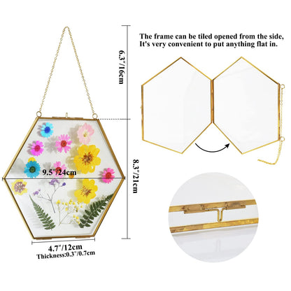 TLBTEK Brass Hanging Photo Frame,9.5 Inch Hexagon Glass Frame for Pressed Flowers,Clear DIY Vintage Artwork Display Frame Wall Mounted Photos Frame