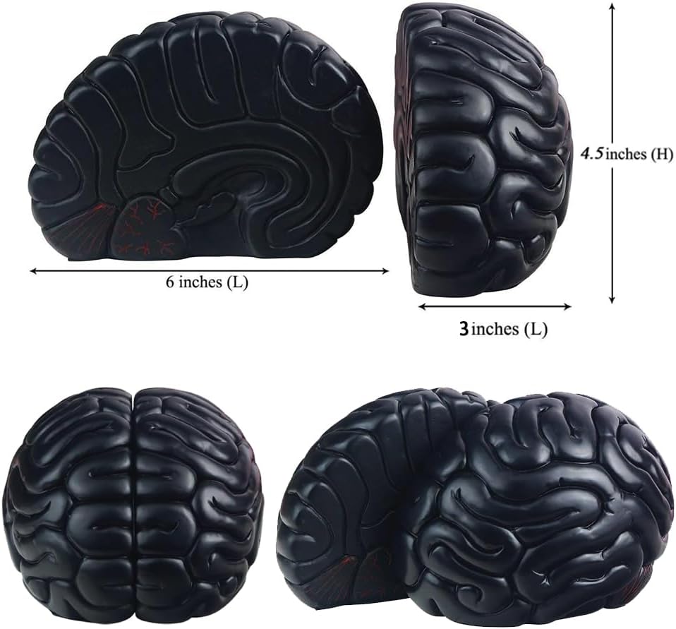 6.5Inch Set Brain Bookends, Tall Brain Decorative Resin Book Shelf Organizers Book Holders Shelf Dividers Book Ends