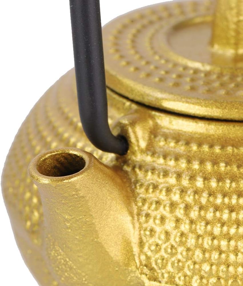 Gaeirt 50ml Cast Iron Tea Pot - Flat Bottom Tea Infuser with Handle and Spout, Exquisite Water Kettle for Home Kitchen