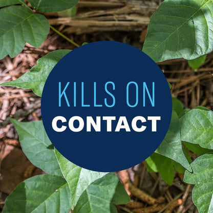 BioAdvanced Brush Killer Plus - Ready-to-Use Weed Killer Spray | 1 Gallon for Tough Brush & Poison Ivy Control
