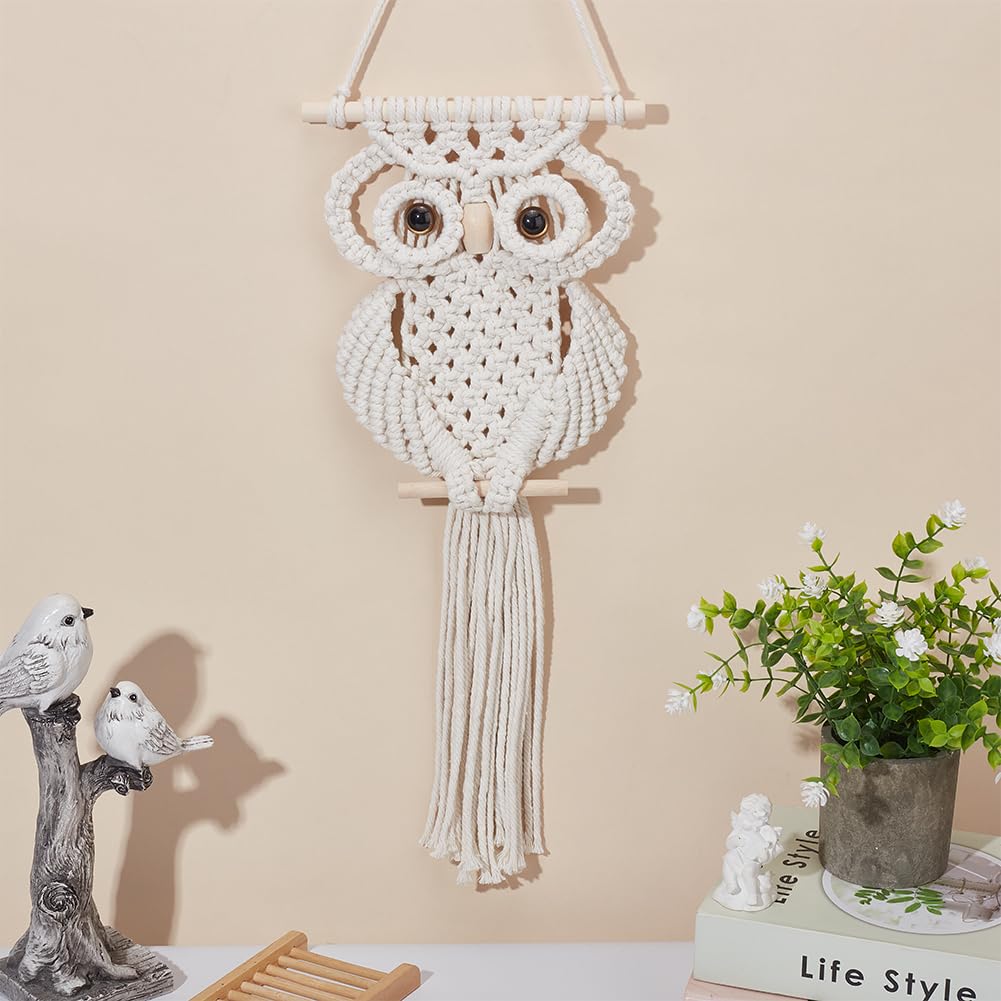 FREEBLOSS Macrame Owl Kit for Beginners Macrame Owl Wall Hanging Tapestry Kit Creative DIY Macrame Owl Boho Macrame Wall Hanging DIY Macrame Kit with Video Tutorial