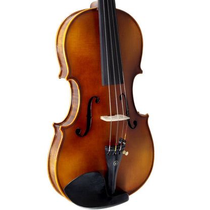 Paititi 4/4 Full Size PTVNHY100 Premium Hand Carved Ebony Fitted Violin Outfit with Case, Bow, String, Tuner, Mute and Rosin