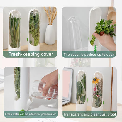 Ovrimelle 2 Pack Herb Keeper Container for Refrigerator, Clear Storage Bottle Fresh Storage Container for Cilantro Parsley Mint, Fresh Produce Saver, Extends Freshness for 2-3 Weeks