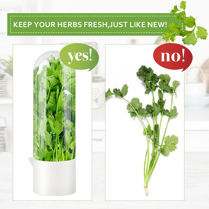 DiQiRenQin 3 Pack Cilantro Container for Fridge, Vertical Herb Keeper for Refrigerator, ABS Herb Saver for Fresh Herbs (Parsley, Mint), White