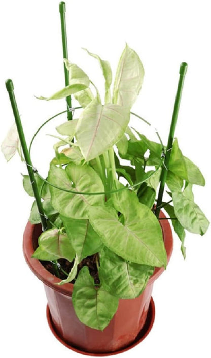 Orgrimmar 17.7" Balcony(Pack 2) Vine Trellis Support Flowers Plants Cage Triple Plastic Pillar with Iron Rings Vine