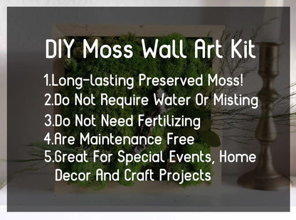 Prefleur Large Natural Green Decorative Moss Reindeer Vase & Bowl Filler|Preserved Leaves, Ferns, Dried Plant Christmas Wedding Party Decor(Christmas-1)