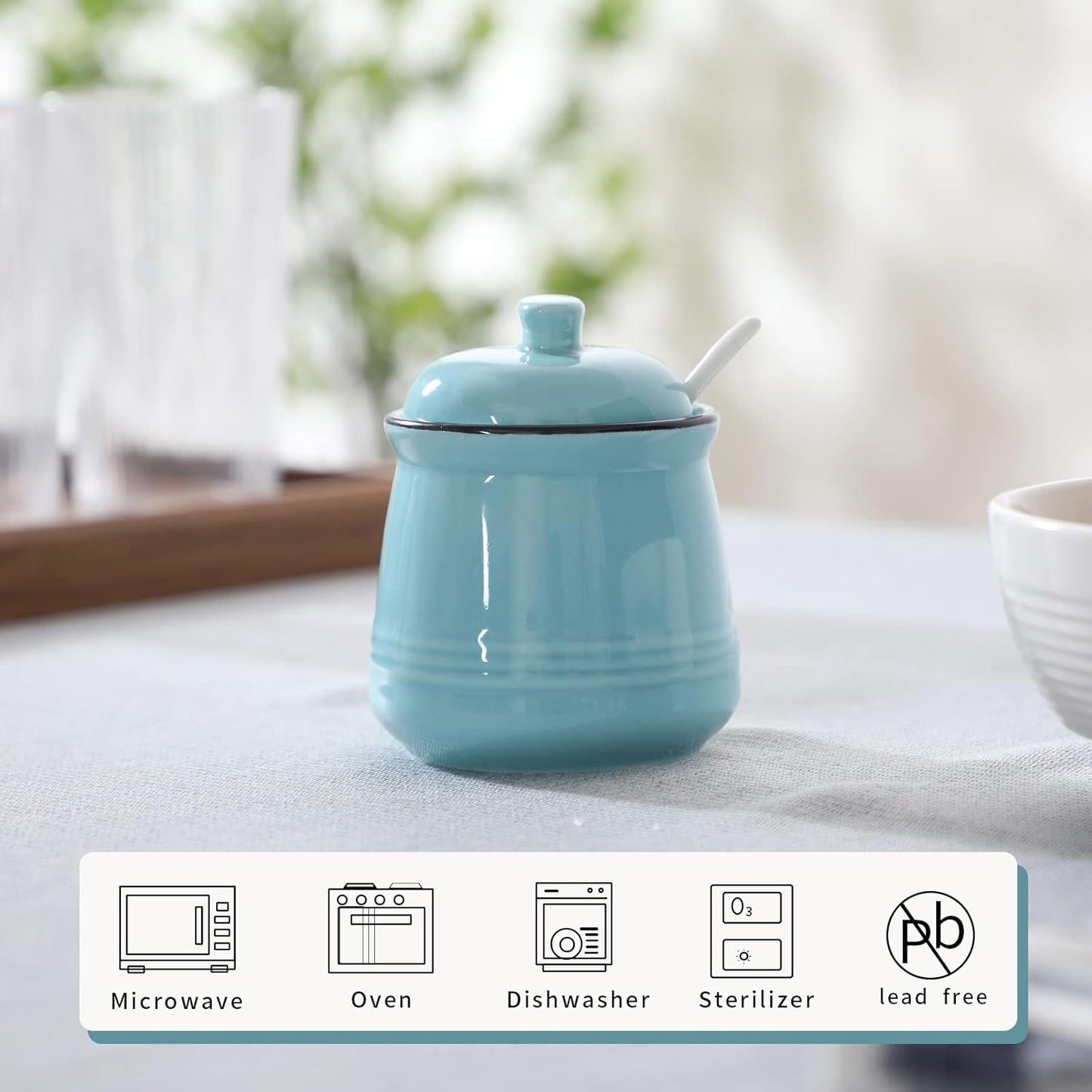 HAOTOP Porcelain Salt Bowl with Lid and Spoon, Ceramic Sugar Bowl 12oz in Turquoise