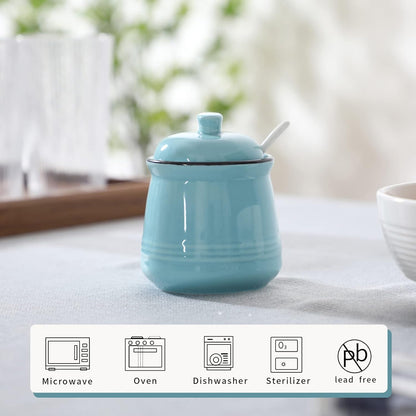HAOTOP Porcelain Salt Bowl with Lid and Spoon, Ceramic Sugar Bowl 12oz in Turquoise