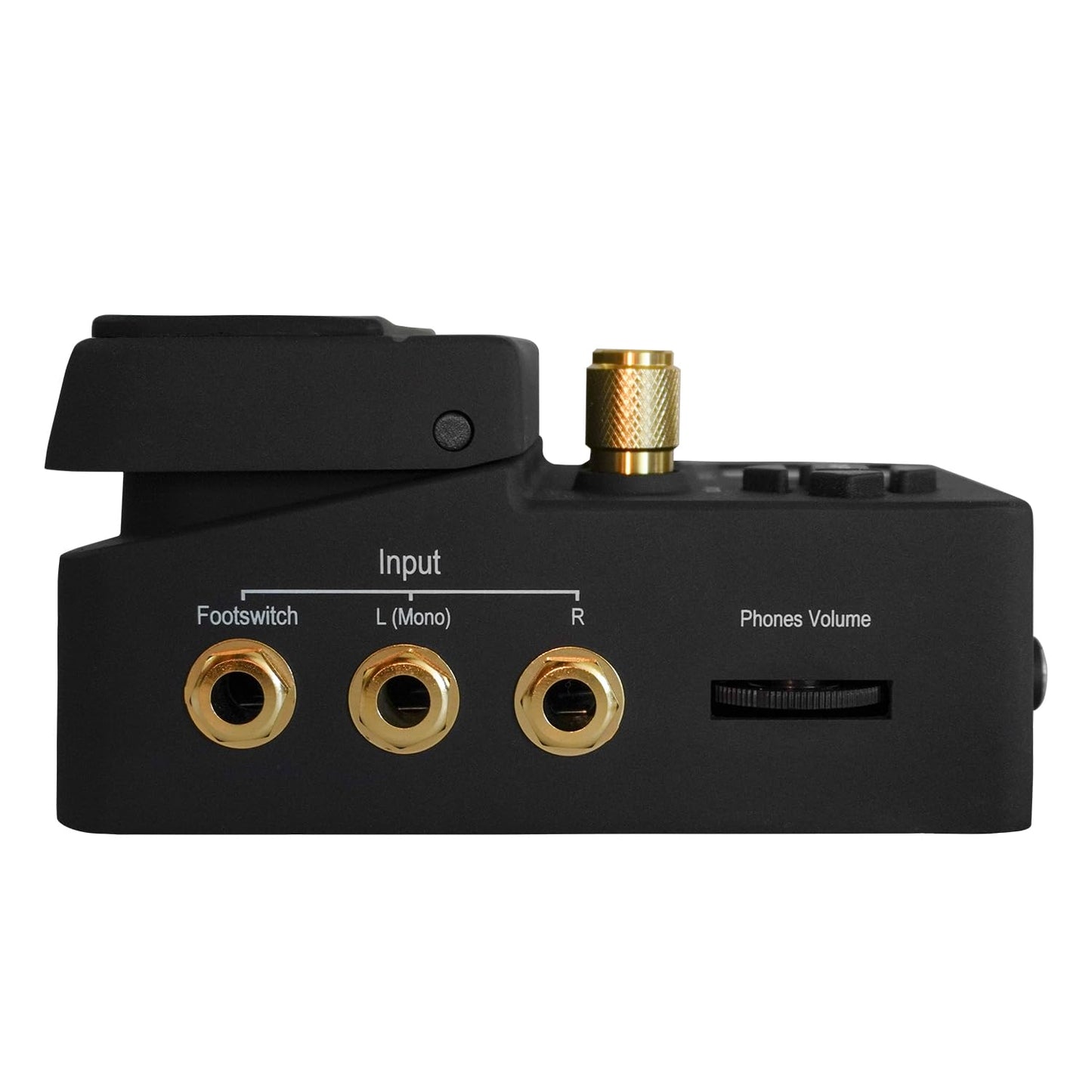 Singular Sound BeatBuddy 10th Anniversary Edition the Only Drum Machine That sounds Human and is Easy To Use