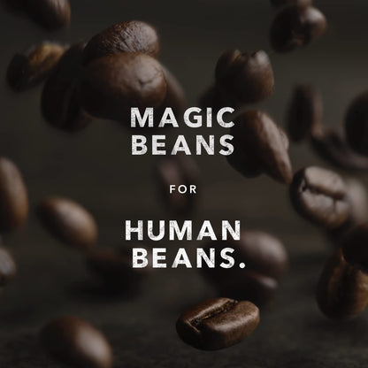 Kicking Horse Coffee Hola, Light Roast, Ground, 284 g (Pack of 6) - Certified Organic, Fairtrade, Kosher