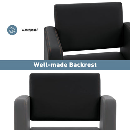BarberPub Classic Styling Salon Chair for Hair Stylist, Barber Chair with Hydraulic Pump, Beauty Barbershop Salon Spa Equipment 3805 (Black)