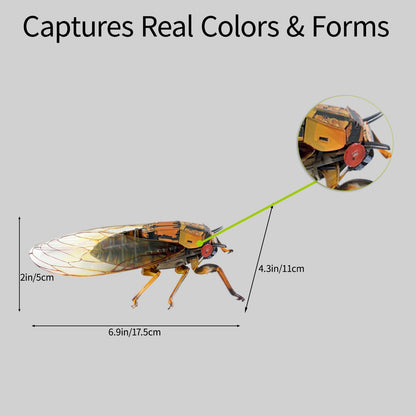 HELLOTOY 3D Acrylic Insects Puzzles DIY Bug Model Kit for Teenagers Educational Display Nature Decoration Figurine Sculpture (Cicada)