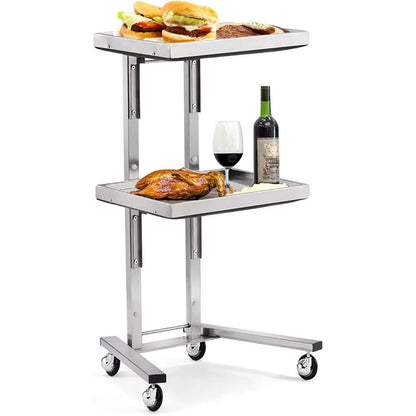 ZGFUSVFD 2-Tier Metal Rolling Cart, Stainless Steel Salon Storage Stand with Wheels Trolley Tray Storage Cart Kitchen Storage Trolley Utility for Bedroom Tattoo Shop, Silver