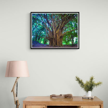 YEEIFFD DIY 5D Painting Numbering Kit Tree Banyan Hawaii Maui Kauai Landscape Nature Outdoors 12 X 16 Adult Rhinestone Painting Kit for Home Decoration