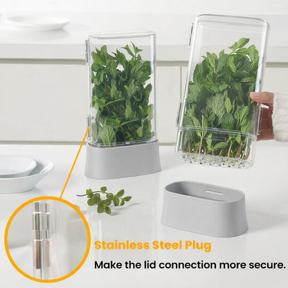 vacane Herb Keeper for Refrigerator, Fresh Herb Saver Herb Storage Containers, Cilantro Container for Fridge Asparagus Container, Dishwasher Safe