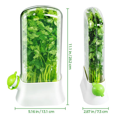 orimetre Herb Keeper for Refrigerator – Lettuce & Cilantro Container, Fresh Vegetable Saver Pod, Storage Bottle & Fresh-Keeping Box for Spinach, Asparagus, Celery, Mint (White)