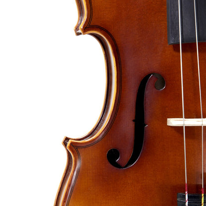 Paititi 4/4 Full Size PTVNHY100 Premium Hand Carved Ebony Fitted Violin Outfit with Case, Bow, String, Tuner, Mute and Rosin