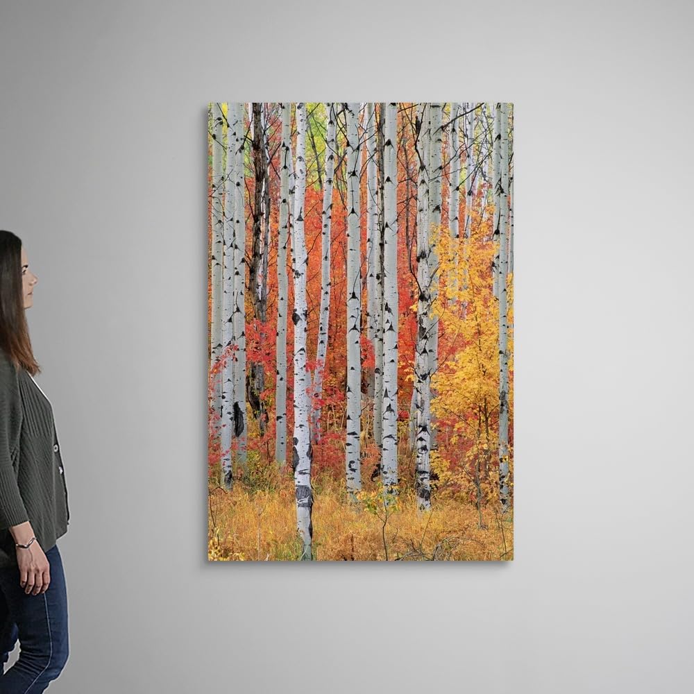 CANVAS ON DEMAND A Forest of Aspen and Maple Trees in the Wasatch Mountains, Utah Canvas Wall Art Print, Home Decor, Season, United States Artwork,40" x60in
