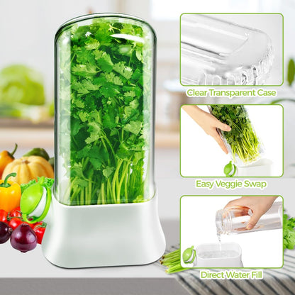 orimetre Herb Keeper for Refrigerator – Lettuce & Cilantro Container, Fresh Vegetable Saver Pod, Storage Bottle & Fresh-Keeping Box for Spinach, Asparagus, Celery, Mint (White)