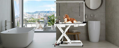 COZONY 50inch Hydraulic Dog Grooming Table,300LBS Electric Grooming Table for Dogs, Professional Pet Grooming Station for Large & Small Dogs