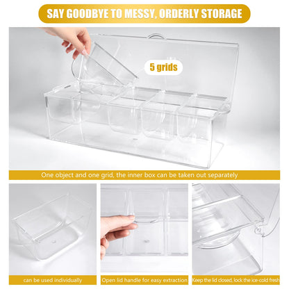 Condiment Tray with Stainless Steel 5 Spoons, 5 Forks and 1 Clip, Chilled Condiment Server, Condiment Server, Bar Garnish Holder on Ice, Bar Accessories Fruit and Salad with Removable Trays and Lid