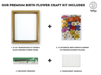 Twodays Birth Flower Mother's Day Craft Kit for Mom/Grandma - 33 Real Pressed Flowers Art DIY Set, With 8x10 Double Glass Frame & Tools, Unique Handmade Birthday Christmas Gift from Daughter (Natural)