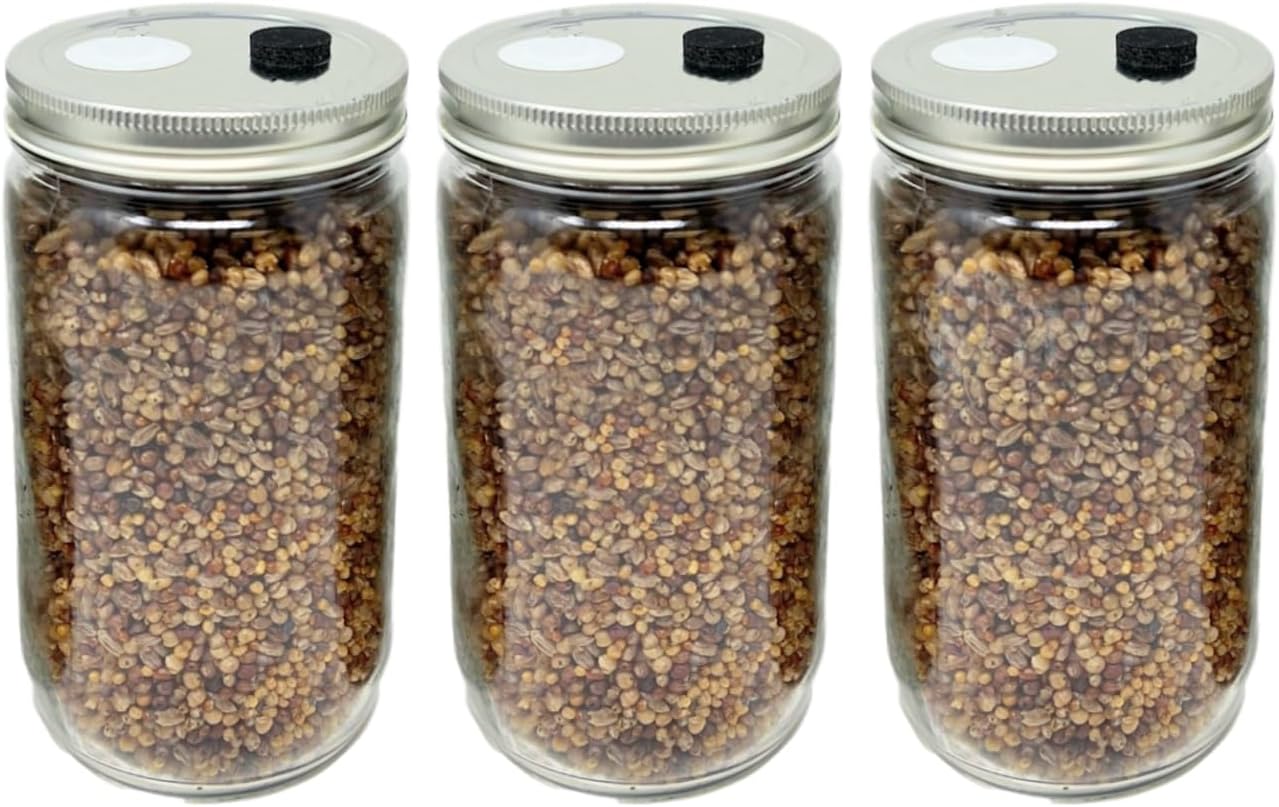 32oz 5-Grain (3-Pack) Myco Labs Premium Quick Colonizing Mushroom Spawn Jars