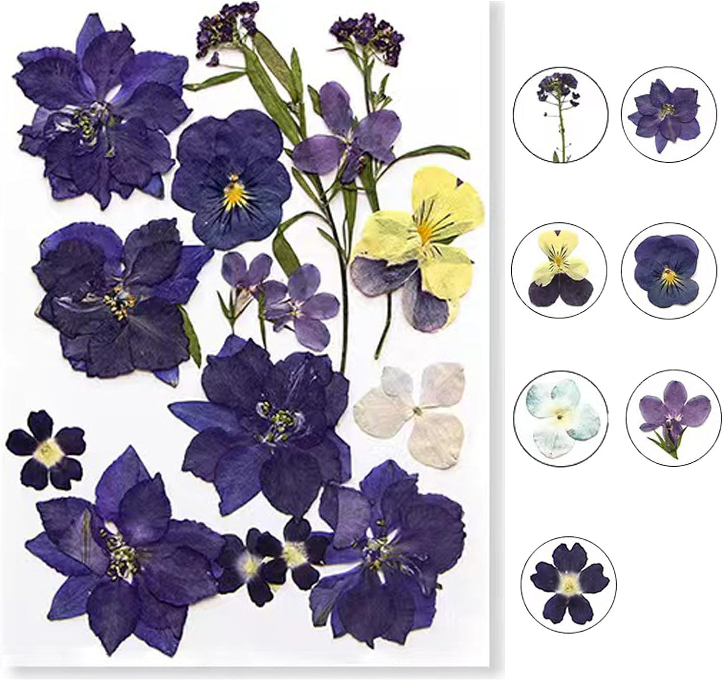 Flowers for Resin Model, Real Pressed Flowers Dry Leaves Bulk Natural Herbs Kit for Scrapbooking DIY Art Crafts, Epoxy