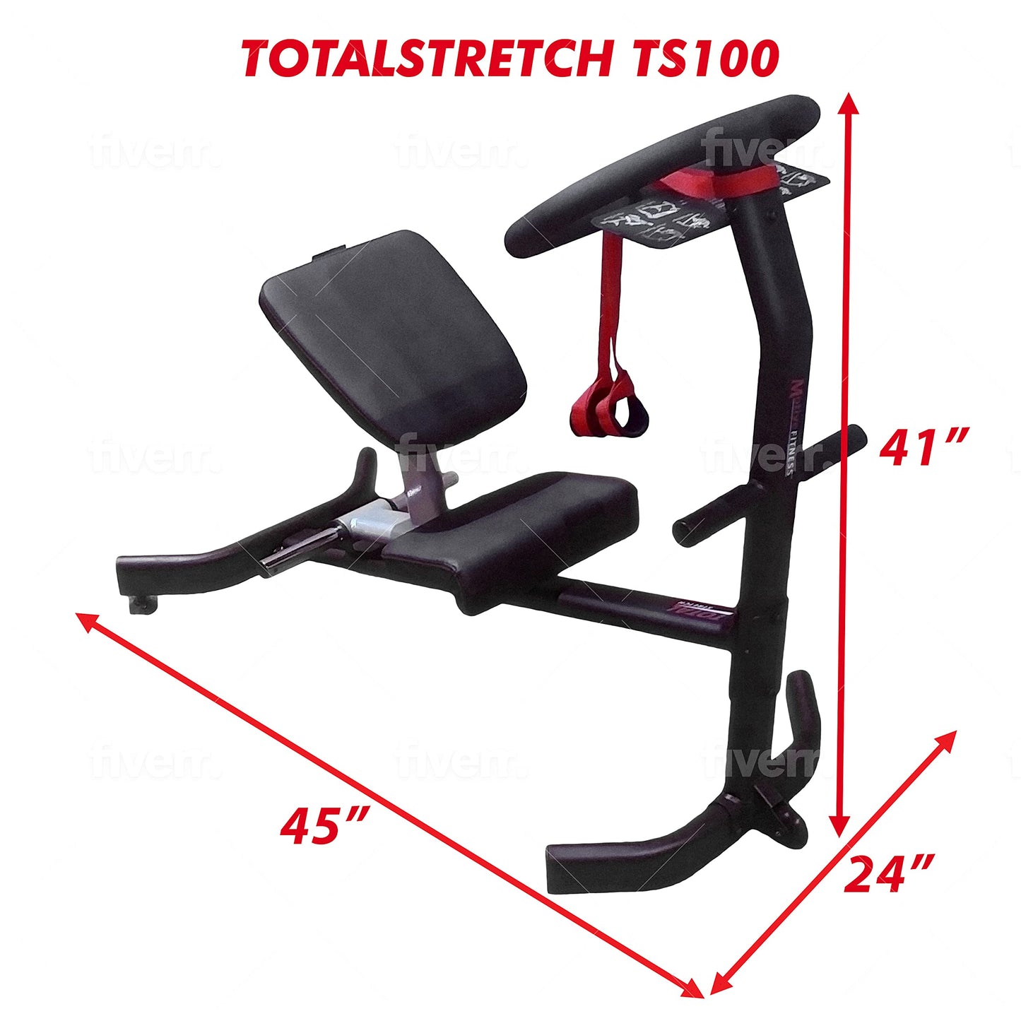 Motive Fitness TotalStretch TS100 Commercial Back & Body Stretching Machine