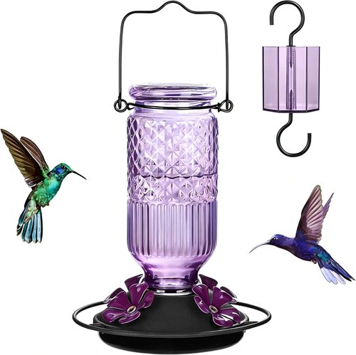 FEED GARDEN Glass Hummingbird Feeder - 16 oz Outdoor Feeder with Bee-Proof Ports & Easy Clean Design, Purple