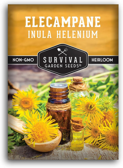 (1 Pack) Elecampane Seeds for Planting - Traditional Medicinal Herb (Inula helenium) with Tall Yellow Blooms