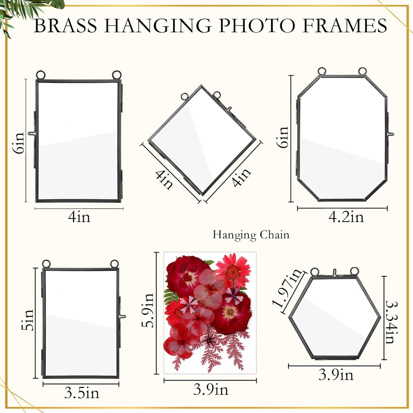 Bucherry 5 Pcs Glass Frame for DIY Pressed Flowers Art Brass Hanging Photo Picture Frame with Chain and 6 Styles Pressed Flowers Collage Glass Craft Frames for Wall Decor Display Gallery (Black)