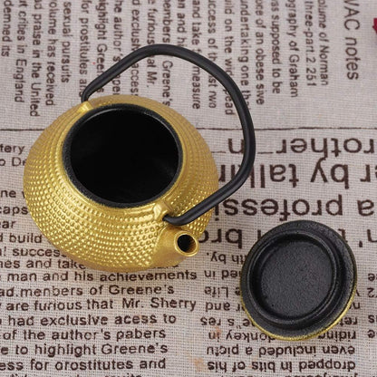 Gaeirt 50ml Cast Iron Tea Pot - Flat Bottom Tea Infuser with Handle and Spout, Exquisite Water Kettle for Home Kitchen