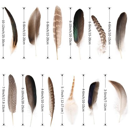 Natural Feathers Bulk - 150PCS - 12 Styles Assorted Natural Feathers, Pheasant Feathers, Turkey Feathers for DIY Crafts, Wedding, Crafting Supplies