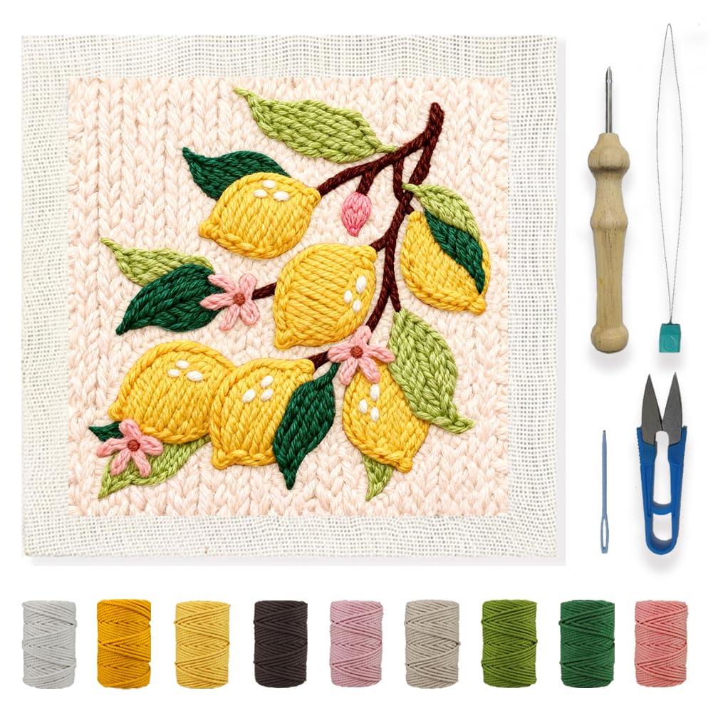 INFUNLY Lemon Flower Punch Needle Embroidery Kits Lemon Branch DIY Punch Needle Kit for Beginners Plant Stamped Rug Yarn Hooking Kit with Pre-Printed Pattern Instruction for Craft Lovers Home Decor